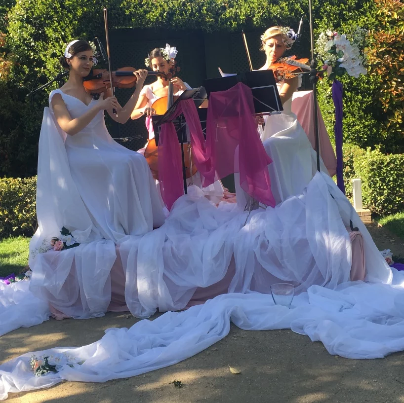 Live music for events