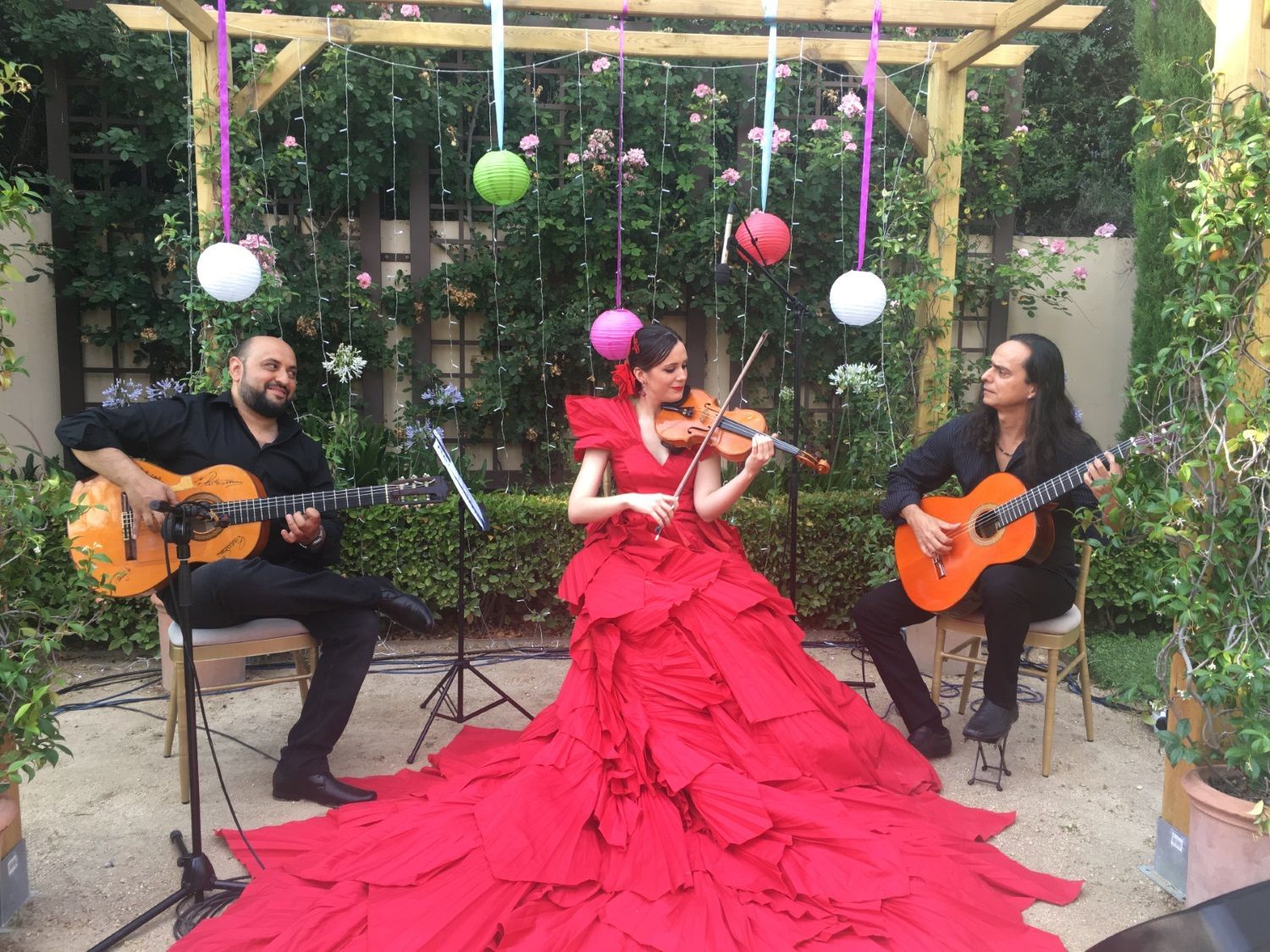 Live music - flamenco string trio