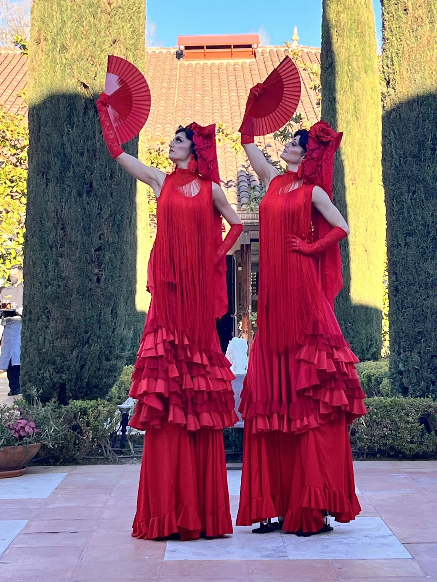 Flamencas zancudas