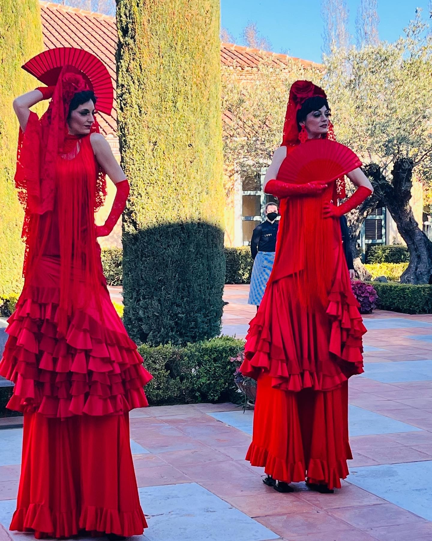 Flamencas zancudas